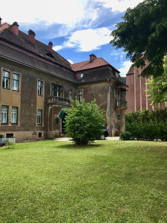 Apartment im Grünen Ideal für Kurzzeit&Langzeit Aufenthalt Leoben  Exterior foto